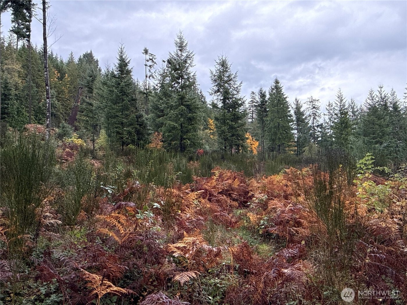 2 XX Forest Road 52 , Packwood, WA 98361