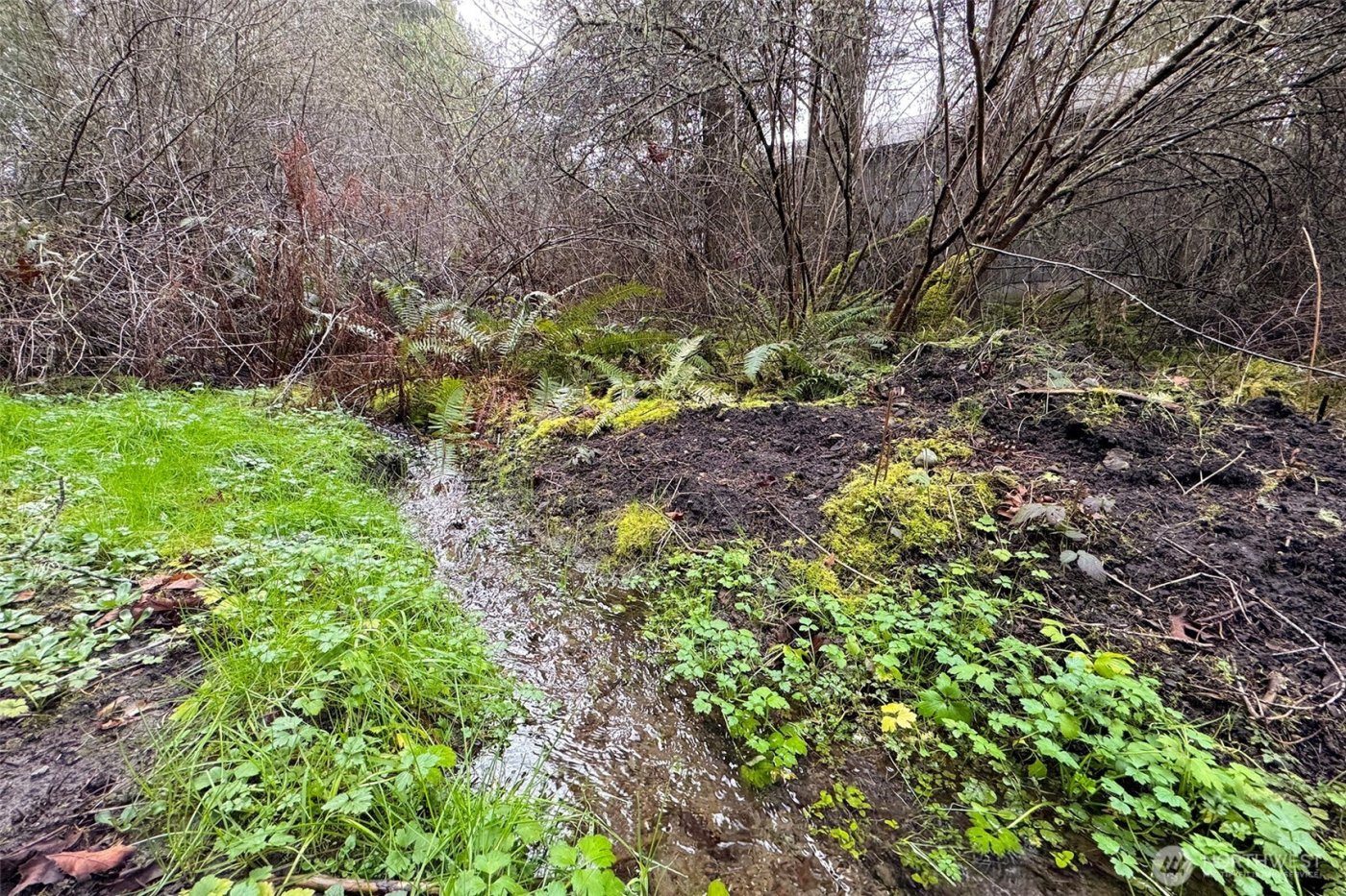 202 W Emerald Forest Lane , Sequim, WA 98382