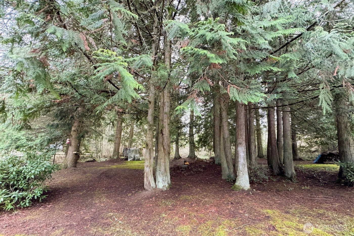 202 W Emerald Forest Lane , Sequim, WA 98382