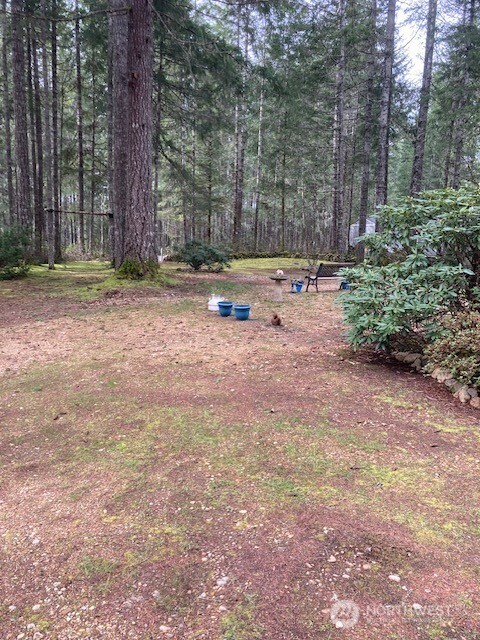 531 N Mountain View Drive , Hoodsport, WA 98548