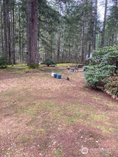 531 N Mountain View Drive , Hoodsport, WA 98548 - Photo 15
