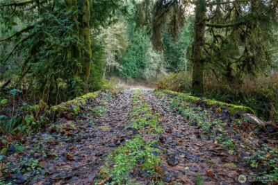14703 184th Street NE, Arlington, WA 98223 - Photo 11