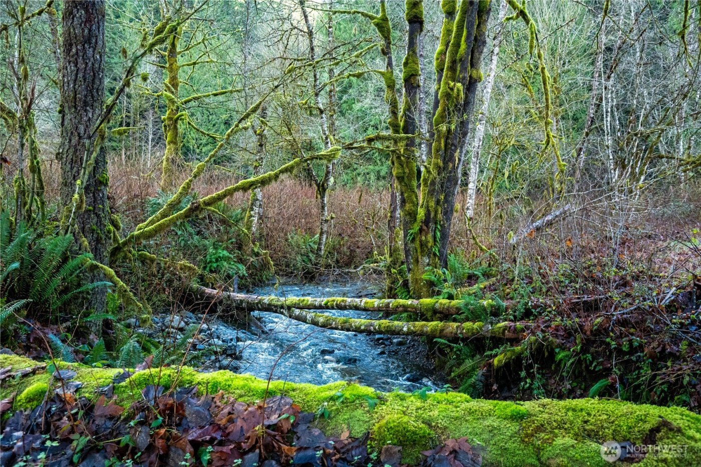 14703 184th Street NE, Arlington, WA 98223