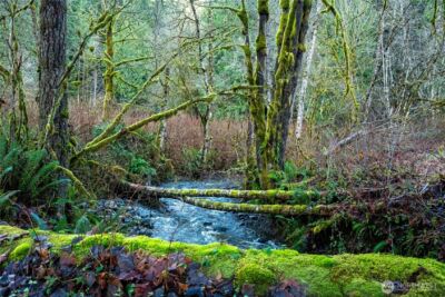 14703 184th Street NE, Arlington, WA 98223 - Photo 12