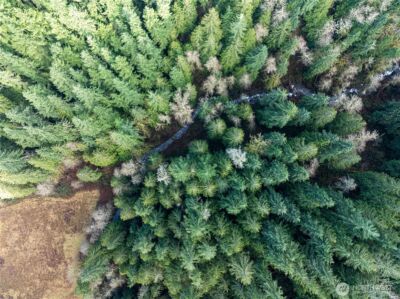 14703 184th Street NE, Arlington, WA 98223 - Photo 13