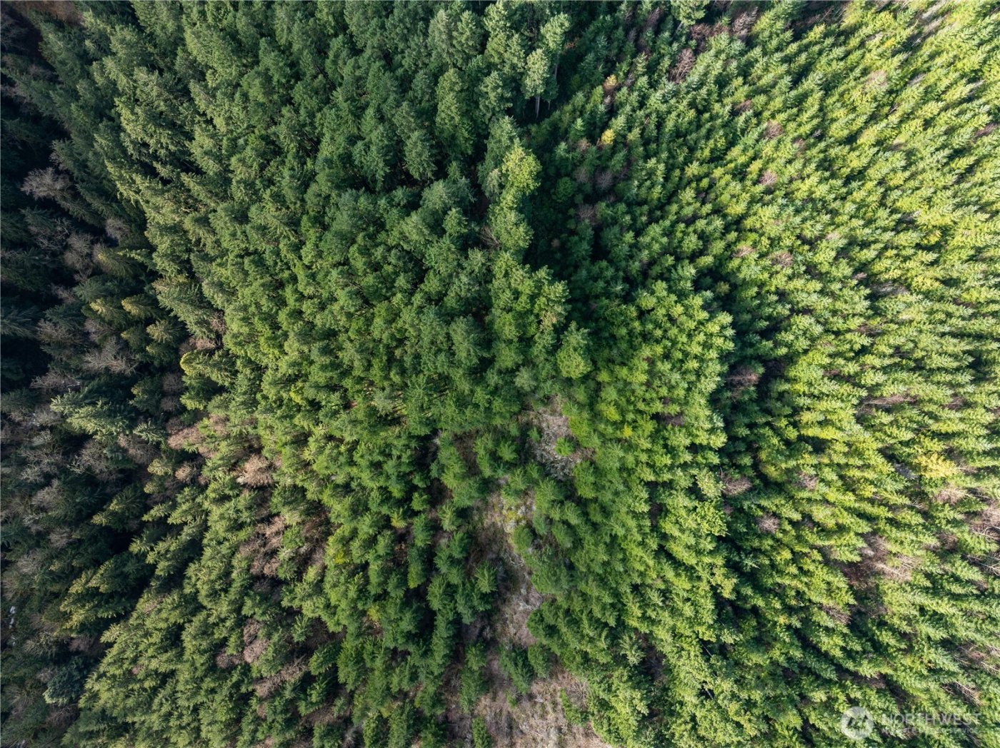 14703 184th Street NE, Arlington, WA 98223