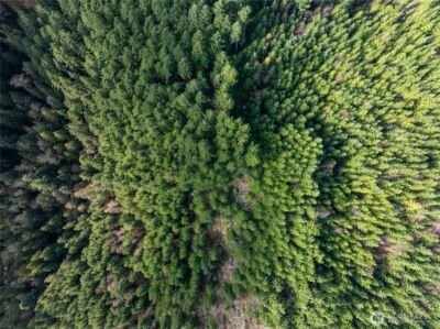 14703 184th Street NE, Arlington, WA 98223 - Photo 14