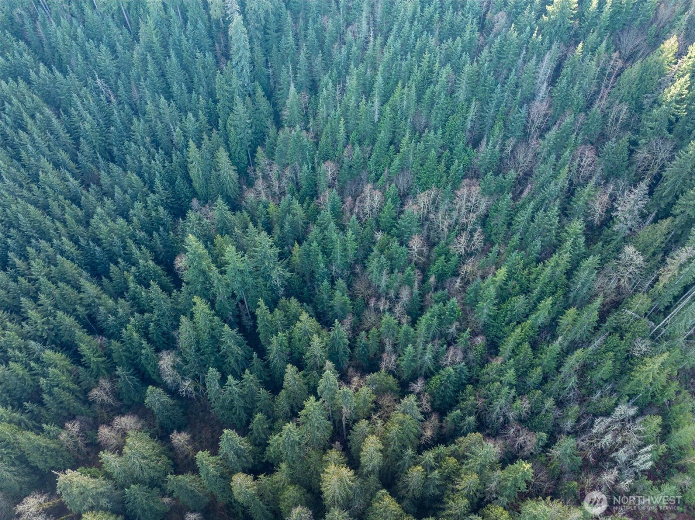 14703 184th Street NE, Arlington, WA 98223