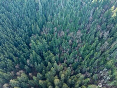 14703 184th Street NE, Arlington, WA 98223 - Photo 15