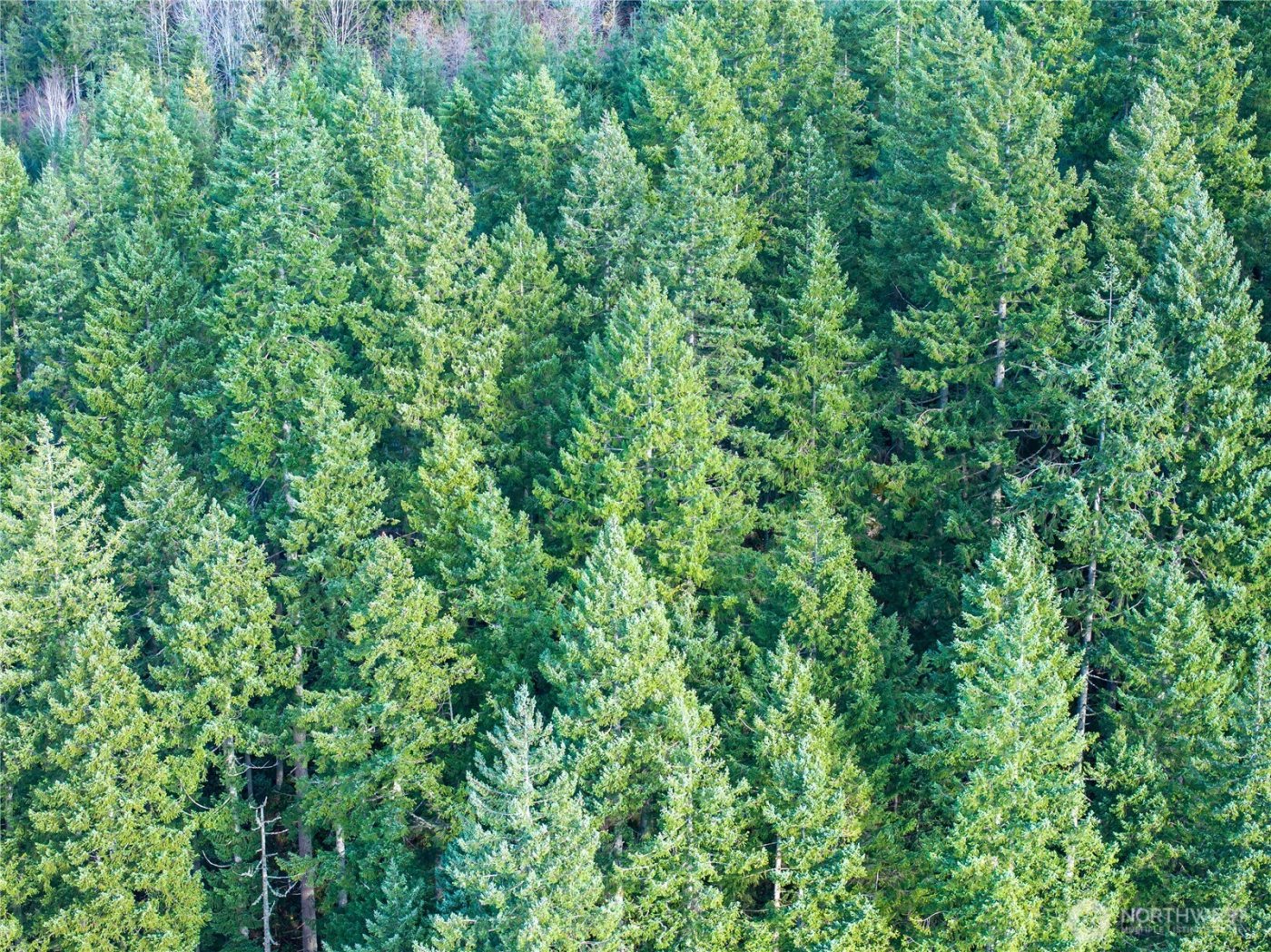 14703 184th Street NE, Arlington, WA 98223