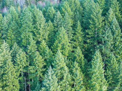 14703 184th Street NE, Arlington, WA 98223 - Photo 16