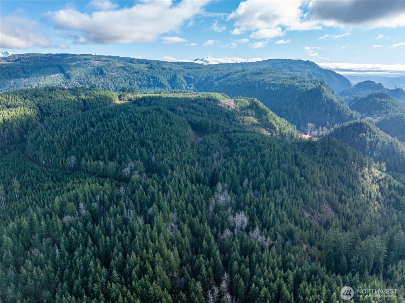 14703 184th Street NE, Arlington, WA 98223