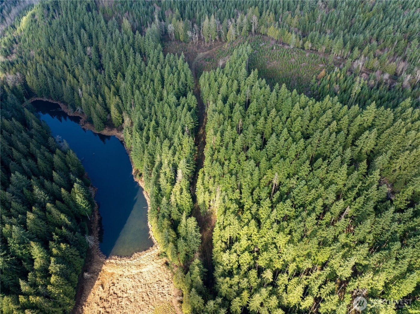 14703 184th Street NE, Arlington, WA 98223