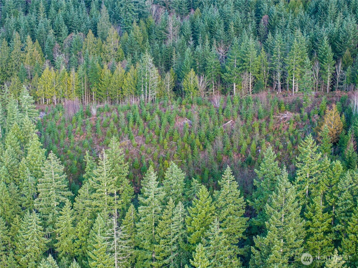 14703 184th Street NE, Arlington, WA 98223