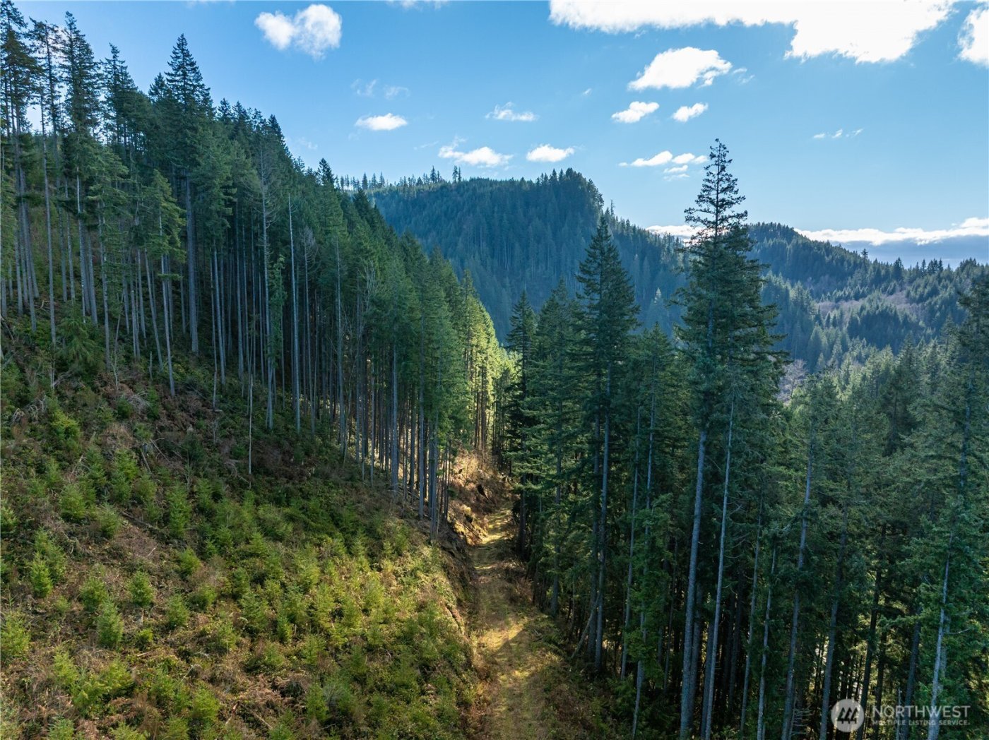 14703 184th Street NE, Arlington, WA 98223