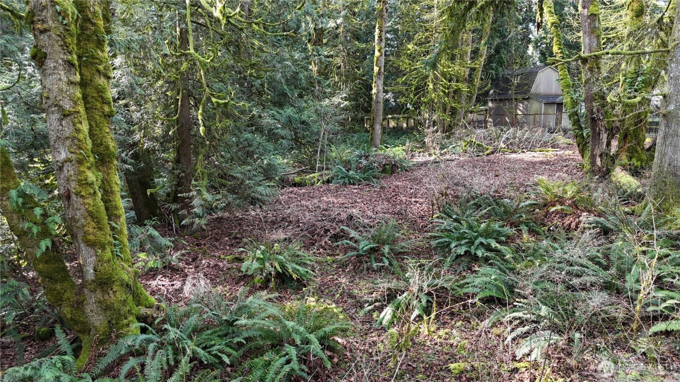 2254 Yew Street Road , Bellingham, WA 98229