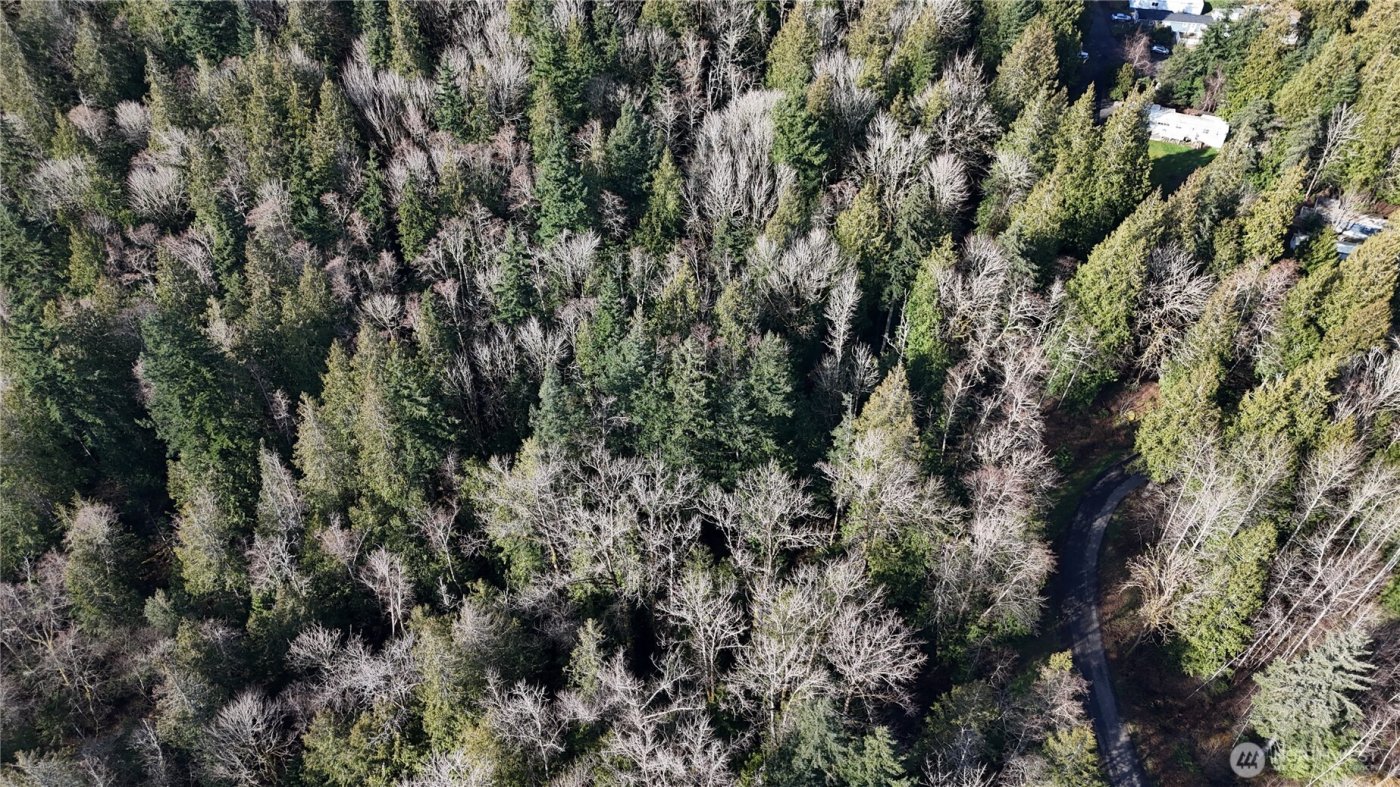 2254 Yew Street Road , Bellingham, WA 98229