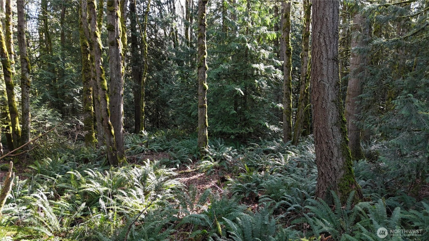 2254 Yew Street Road , Bellingham, WA 98229