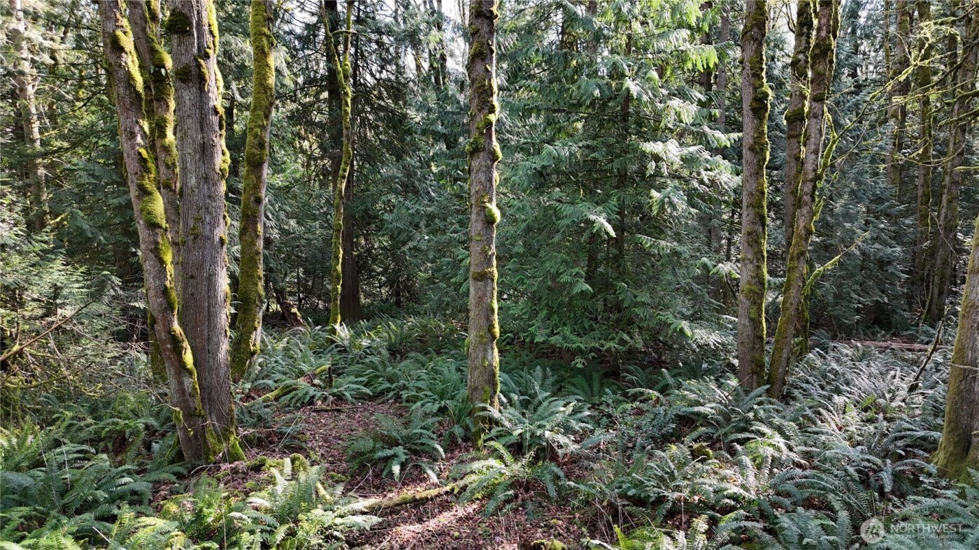 2254 Yew Street Road , Bellingham, WA 98229