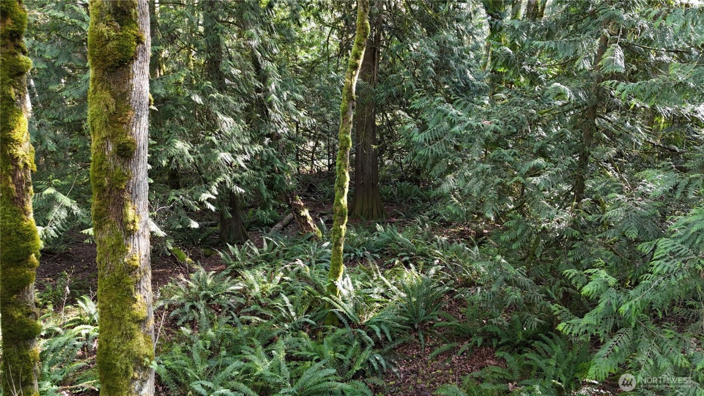 2254 Yew Street Road , Bellingham, WA 98229