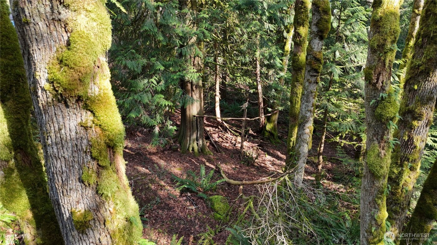 2254 Yew Street Road , Bellingham, WA 98229