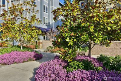 300 High School Road NE #314, Bainbridge Island, WA 98110 - Photo 28