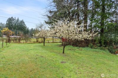 9918 168th Avenue SW, Rochester, WA 98579 - Photo 36