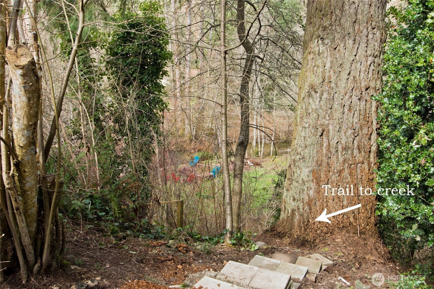 25116 SE 162nd Street , Issaquah, WA 98027