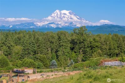 9906 328th Street E, Graham, WA 98338 - Photo 3