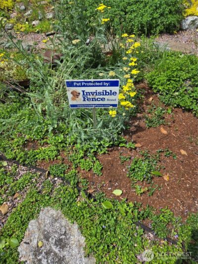 14226 189th Avenue E, Bonney Lake, WA 98391 - Photo 25