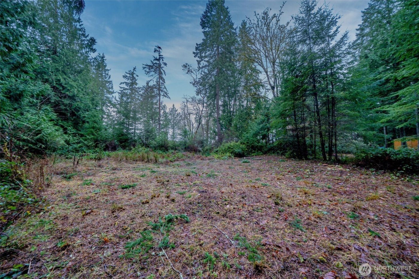 14018 96th Street Ct , Anderson Island, WA 98303