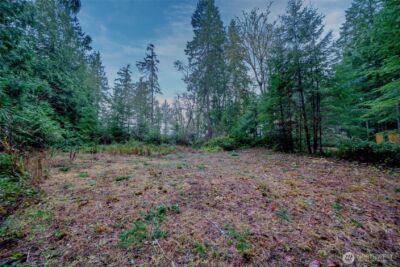 14018 96th Street Ct , Anderson Island, WA 98303 - Photo 11