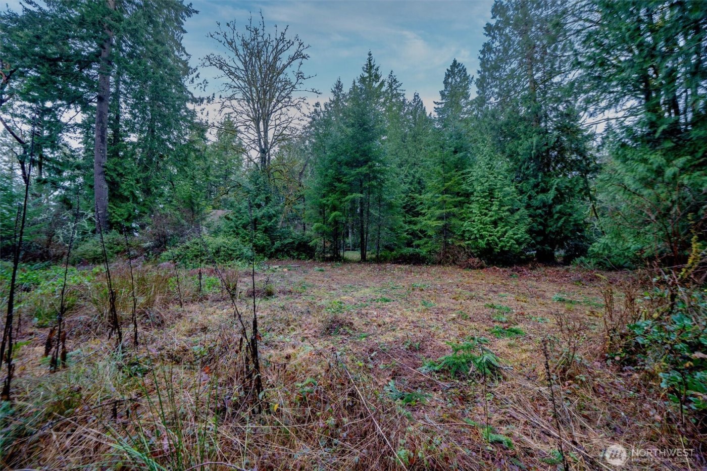 14018 96th Street Ct , Anderson Island, WA 98303