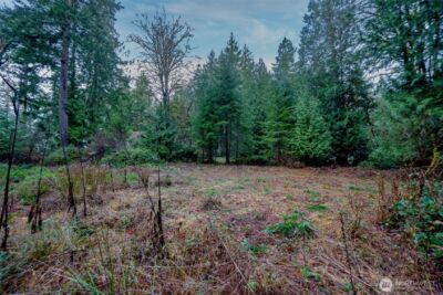 14018 96th Street Ct , Anderson Island, WA 98303 - Photo 13