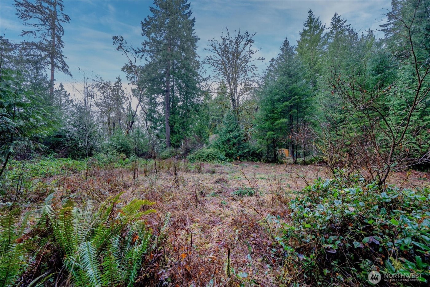 14018 96th Street Ct , Anderson Island, WA 98303