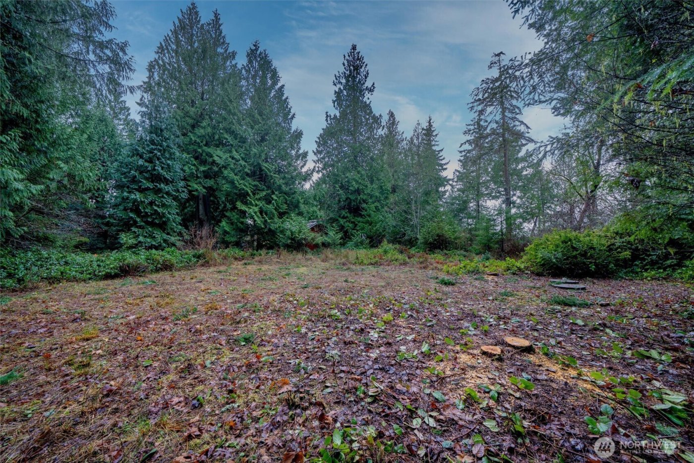 14018 96th Street Ct , Anderson Island, WA 98303