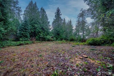 14018 96th Street Ct , Anderson Island, WA 98303 - Photo 16