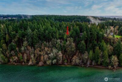 14018 96th Street Ct , Anderson Island, WA 98303 - Photo 19