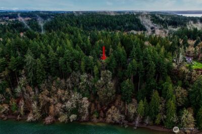 14018 96th Street Ct , Anderson Island, WA 98303 - Photo 20