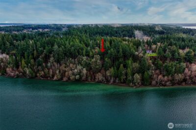 14018 96th Street Ct , Anderson Island, WA 98303 - Photo 4