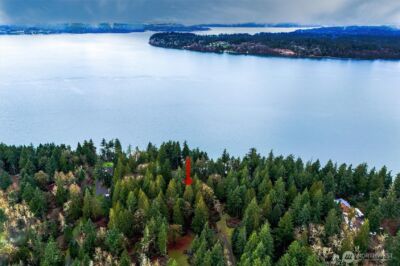 14018 96th Street Ct , Anderson Island, WA 98303 - Photo 5