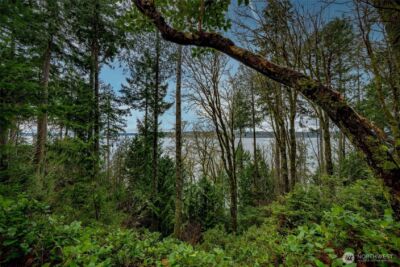 14018 96th Street Ct , Anderson Island, WA 98303 - Photo 6