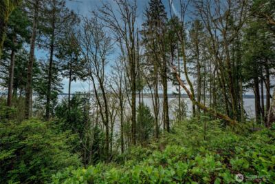 14018 96th Street Ct , Anderson Island, WA 98303 - Photo 7
