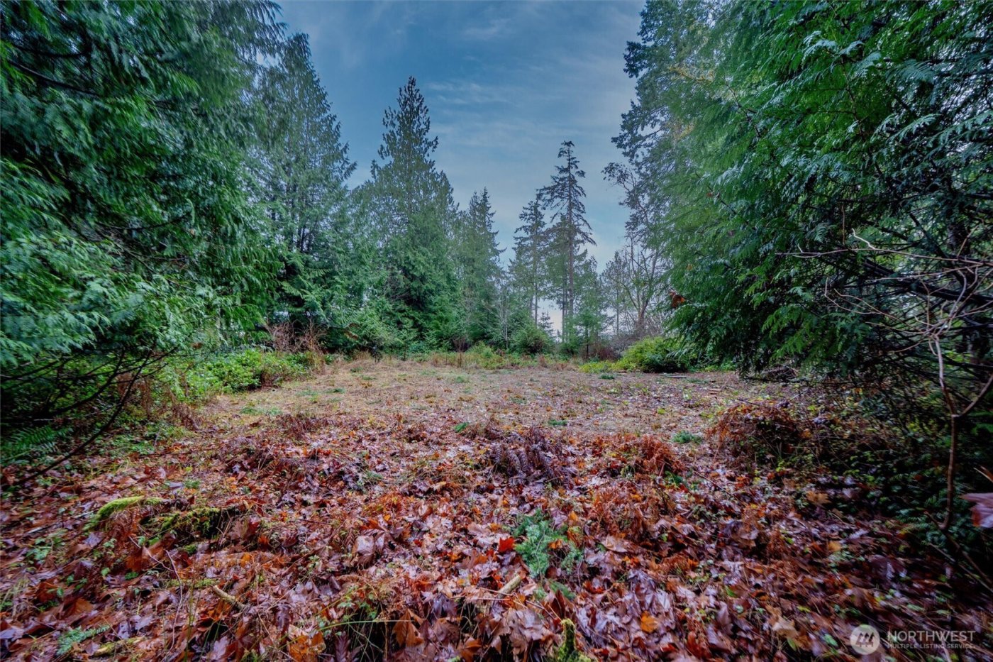 14018 96th Street Ct , Anderson Island, WA 98303