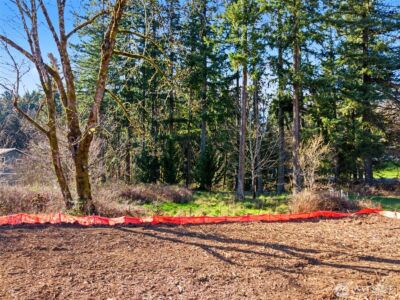 0 SW Alder Street , Winlock, WA 98596 - Photo 8