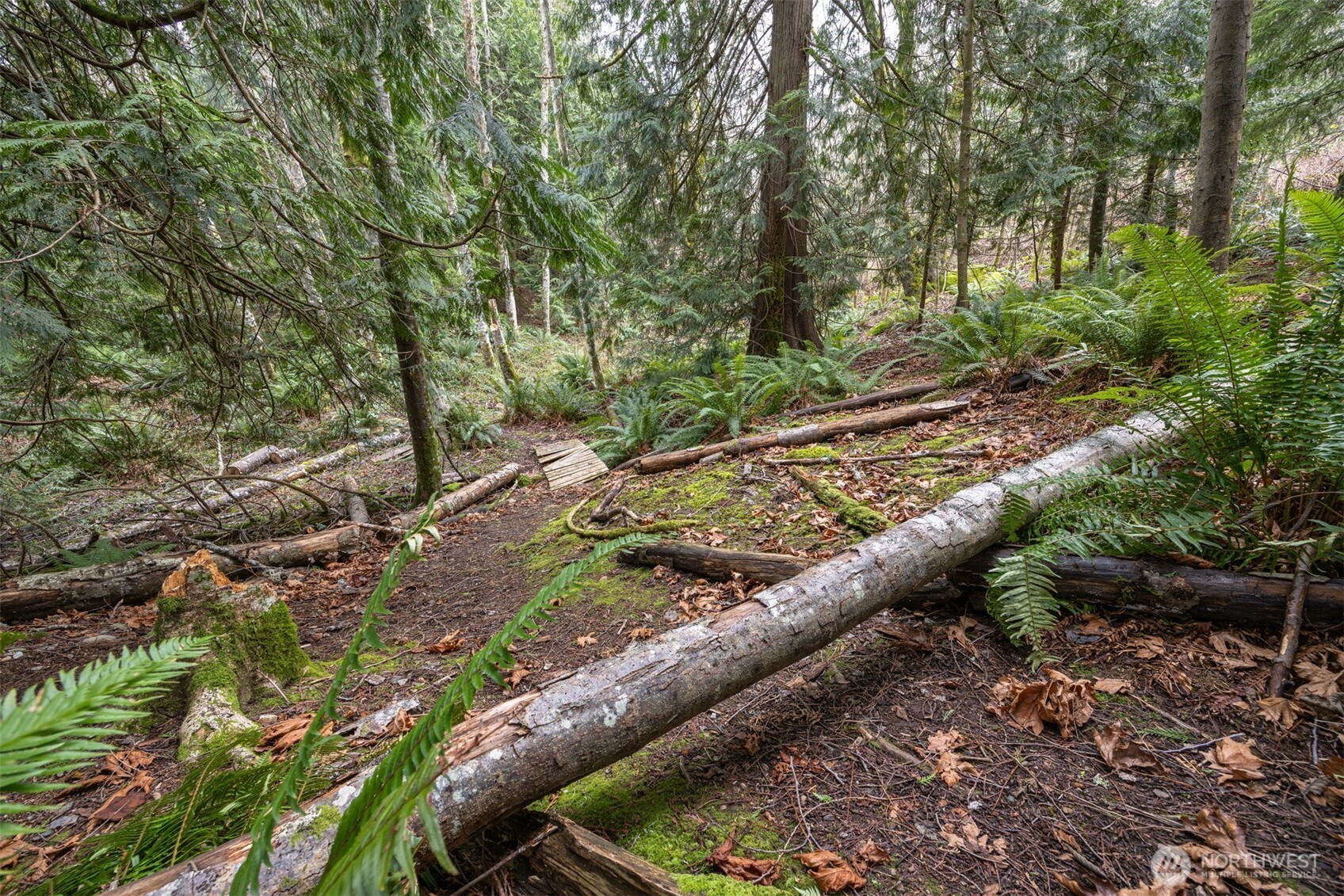 1020 Piedmont Place , Bellingham, WA 98229