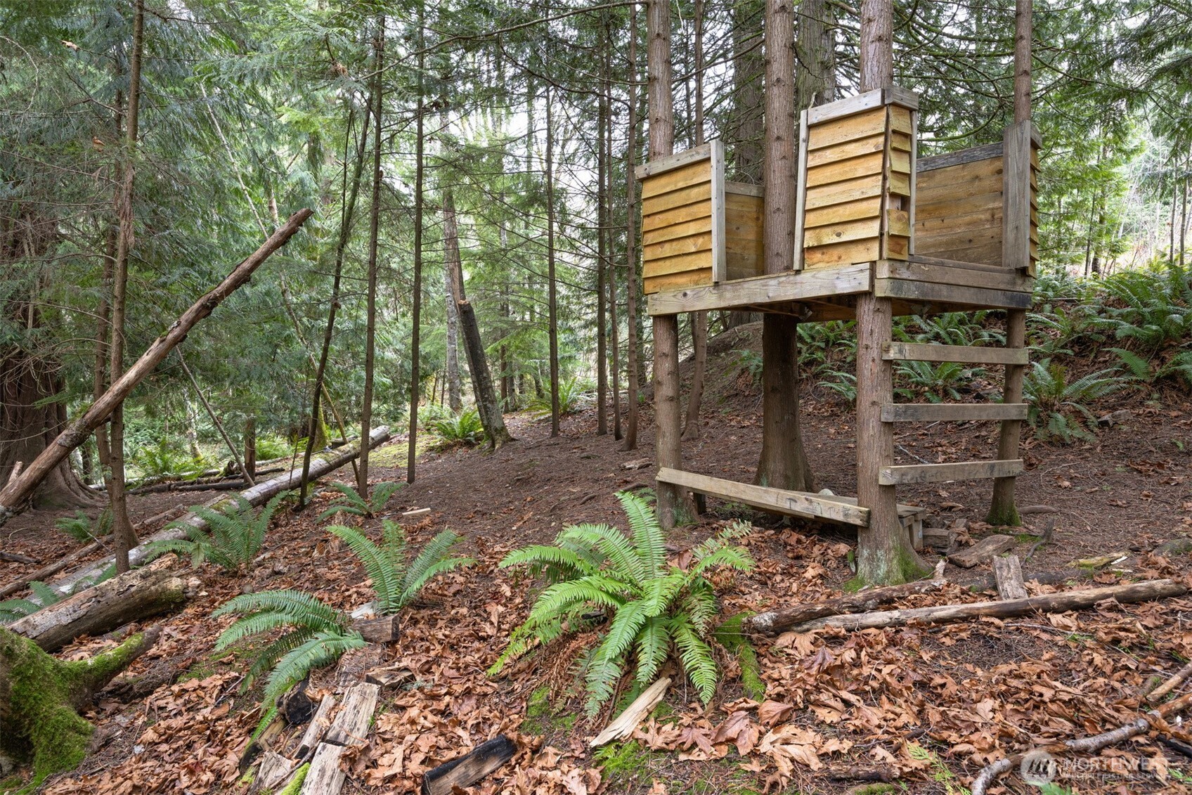 1020 Piedmont Place , Bellingham, WA 98229