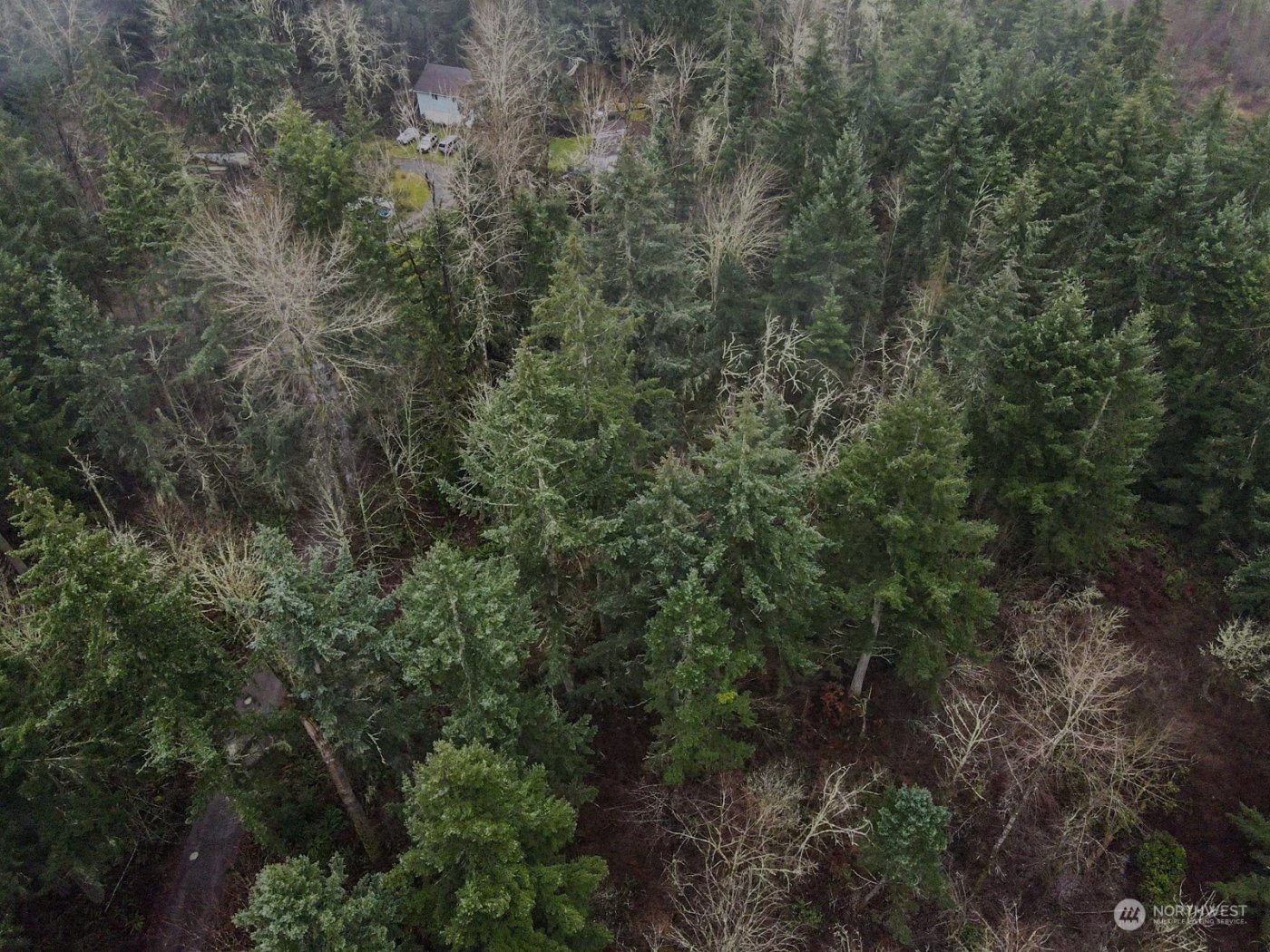 19012 160th Street E, Bonney Lake, WA 98391