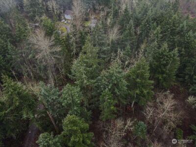 19012 160th Street E, Bonney Lake, WA 98391 - Photo 5