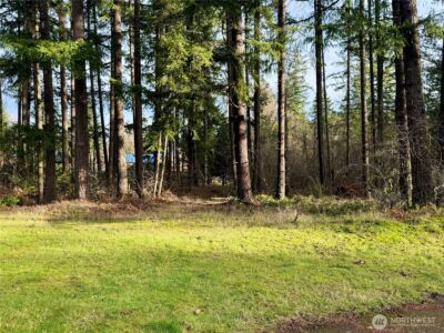 20403 SE 248th Street , Maple Valley, WA 98038 - Photo 10